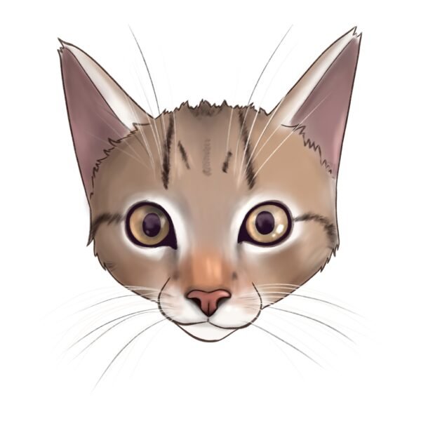 Unieke illustratie van jouw huisdier!